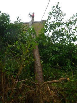 intervention d'urgence sur toit